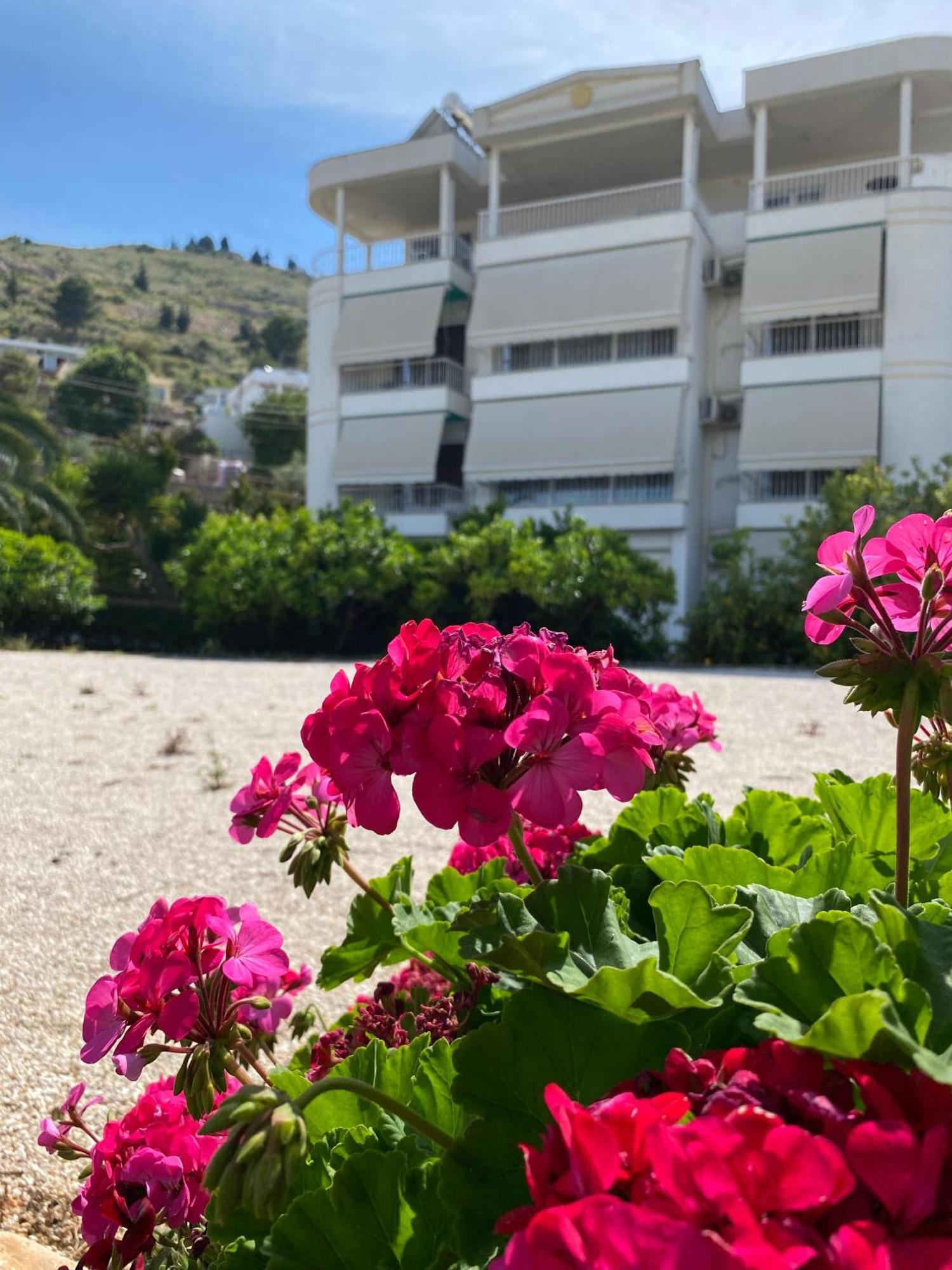 Vila Marjana Sarandë Eksteriør bilde